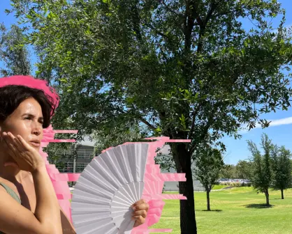 Ola de calor: ¿hasta cuánto puede bajar la temperatura tener un árbol en verano en Nuevo León?