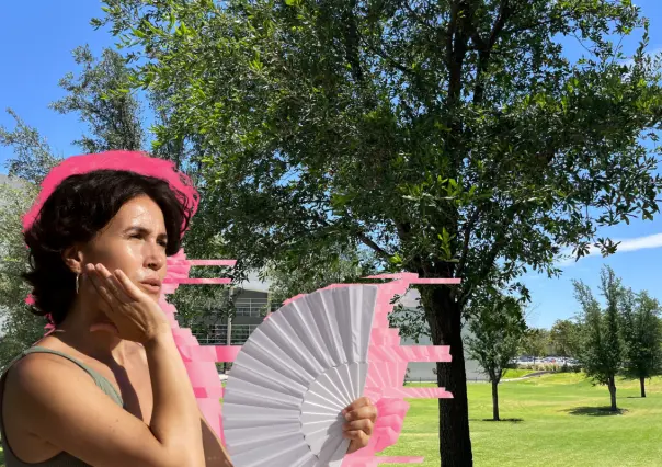 Ola de calor: ¿hasta cuánto puede bajar la temperatura tener un árbol en verano en Nuevo León?