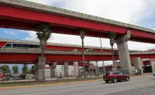 ¿Palmeras en Saltillo? No son la mejor opción para áreas verdes, advierte especialista ambiental