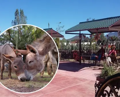 Escápate a este cautivador pueblo mágico del Edomex con el primer santuario de burros en América