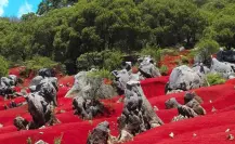 Escápate a este lugar cerca de CDMX con escenarios naturales que te harán sentir en otro planeta