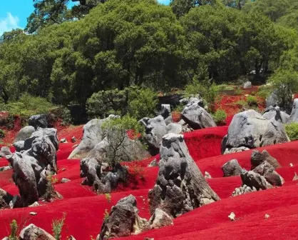 Escápate a este lugar cerca de CDMX con escenarios naturales que te harán sentir en otro planeta