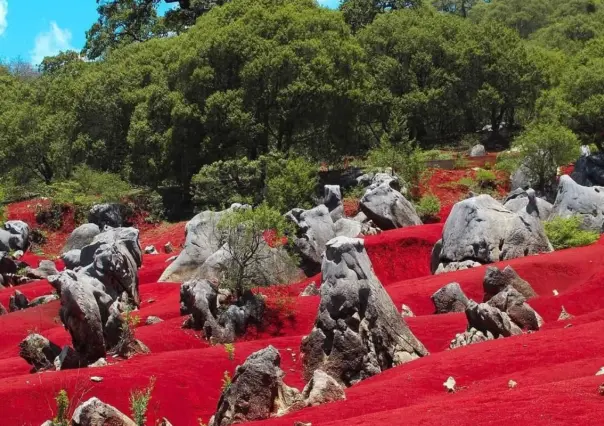 Escápate a este lugar cerca de CDMX con escenarios naturales que te harán sentir en otro planeta