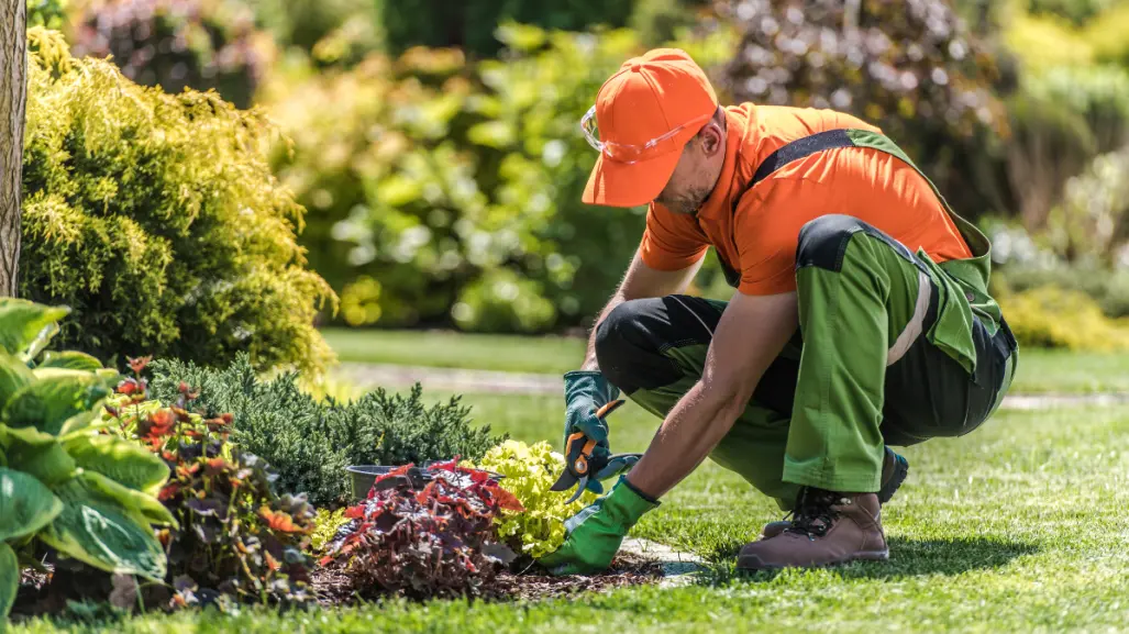 Estas son las plantas que debes podar antes de julio para tener más flores en semanas