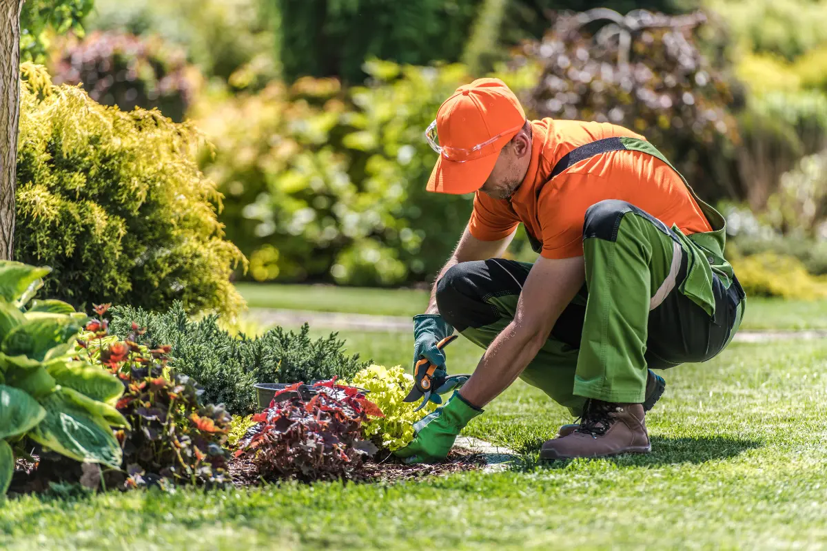 La poda oportuna de algunas plantas es clave para asegurar un jardín lleno de flores vibrantes y saludables este verano. Foto: Canva