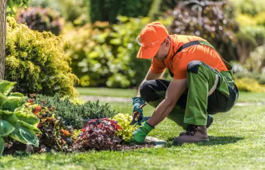 Estas son las plantas que debes podar antes de julio para tener más flores en semanas