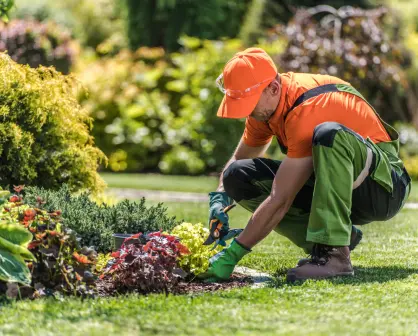 Estas son las plantas que debes podar antes de julio para tener más flores en semanas