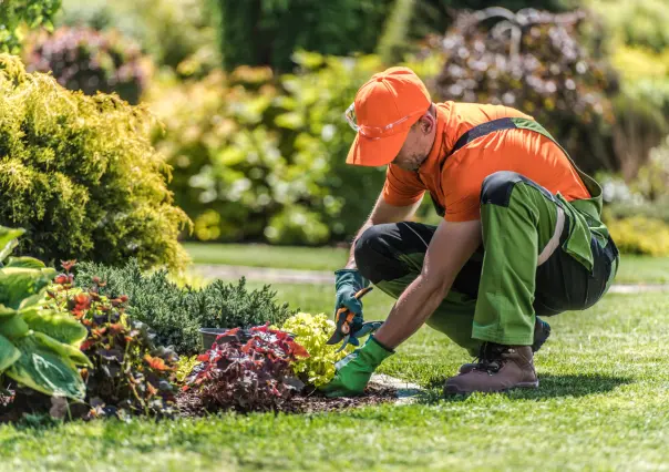 Estas son las plantas que debes podar antes de julio para tener más flores en semanas