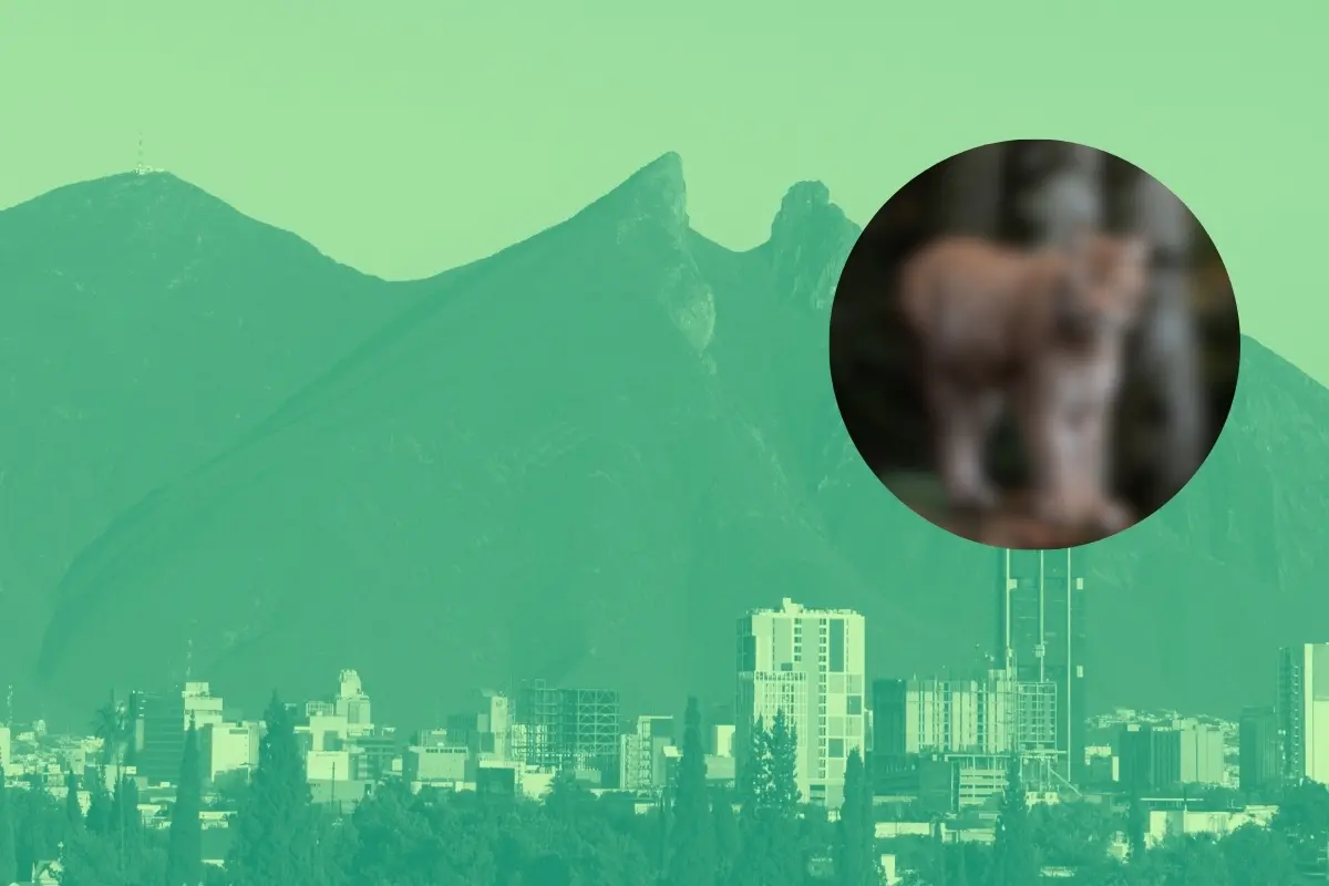 Cerro de la Silla y un animal nativo de Nuevo León. Foto: Canva