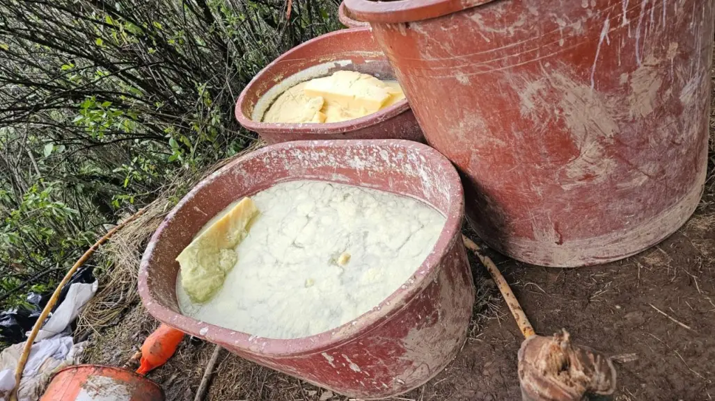 Localizan laboratorio clandestino tras denuncia anónima en Edomex