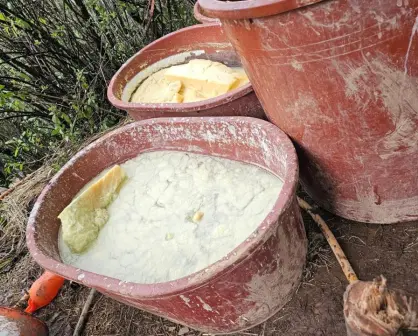 Localizan laboratorio clandestino tras denuncia anónima en Edomex
