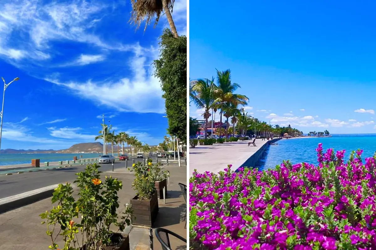 Foto: Conoce Baja California Sur / X | @PostBajaSur / X