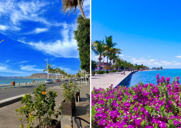 5 planes perfectos para disfrutar el malecón de La Paz como se debe