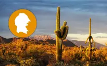 3 municipios más grandes de Coahuila