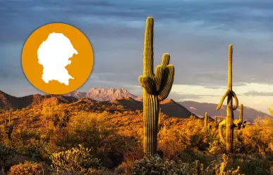 3 municipios más grandes de Coahuila