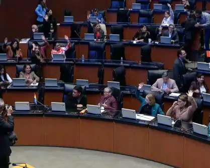 Senado aprueba Ley General de Desaparición Forzada y Población