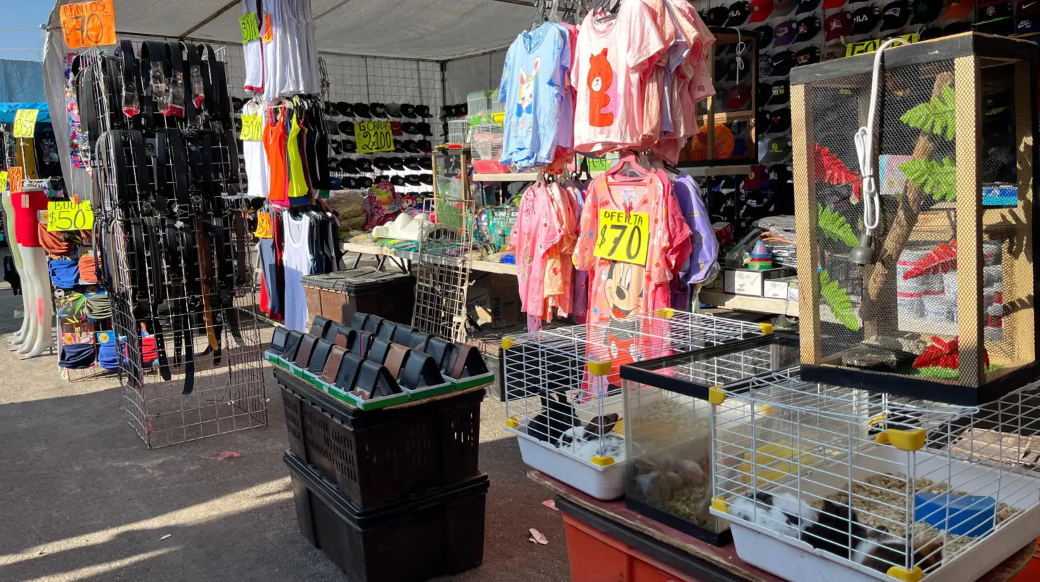 Foto: Isaura Retana | Estos son algunos consejos para quienes piensan comprar ropa usada en el tianguis más grande de Durango.