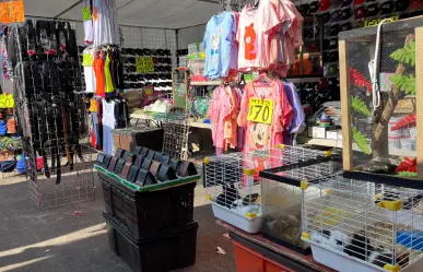 ¿Piensas comprar ropa usada en el tianguis más grande de Durango?, sique estos 3 consejos