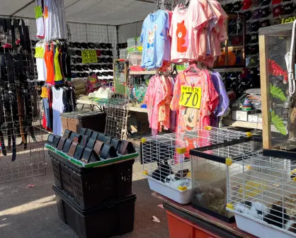 ¿Piensas comprar ropa usada en el tianguis más grande de Durango?, sique estos 3 consejos