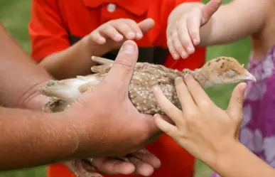 Curso de Verano en Zacango: diversión y aprendizaje para que tus hijos disfruten estas vacaciones