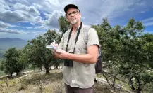 Este es el árbol exclusivo que vive solo en la Sierra la Laguna