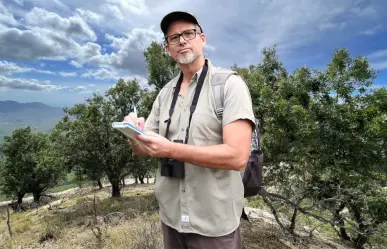 Este es el árbol exclusivo que vive solo en la Sierra la Laguna
