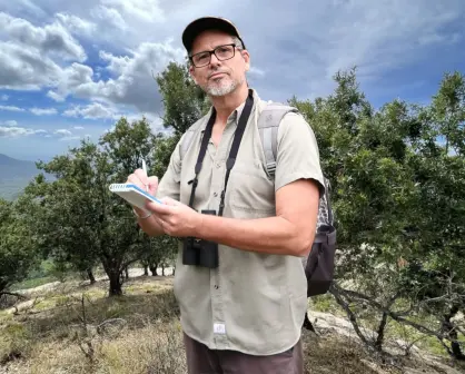 Este es el árbol exclusivo que vive solo en la Sierra la Laguna