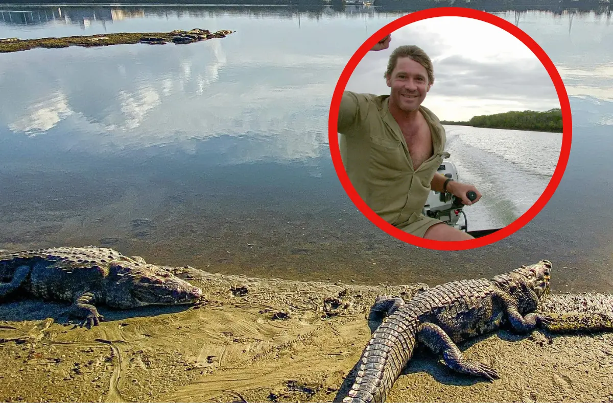 Steve Irwin, el famoso “Cazador de cocodrilos”, visitó en 2002 Tampico para la grabación de su programa en Animal PlanetTampico- Madero Mx