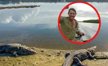 La ocasión que Steve Irwin el cazador de cocodrilos visitó Tampico para su programa
