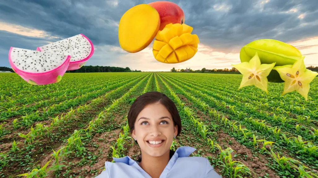 Frutas de temporada en Yucatán, esto se puede comer cada mes del año