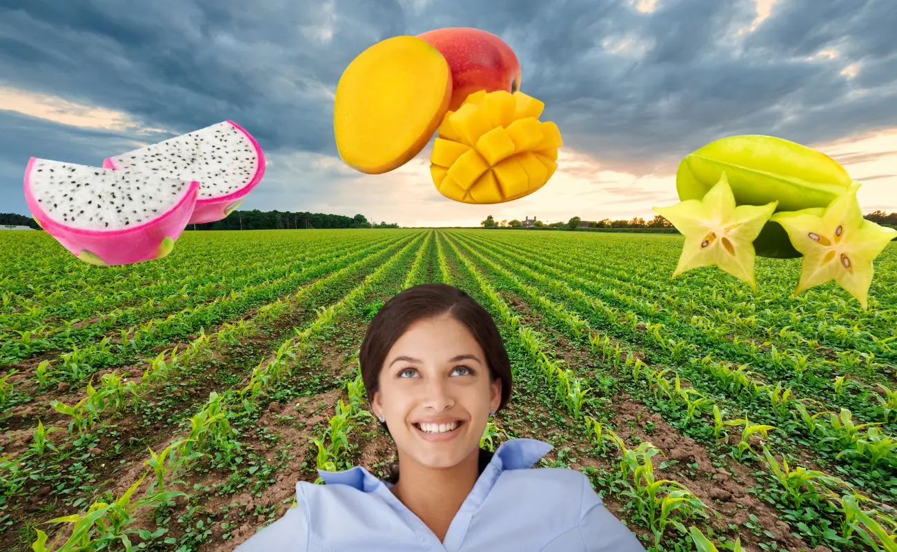 ¿Por qué consumir frutas de temporada en Yucatán? Foto: Canva