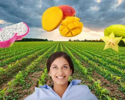 Frutas de temporada en Yucatán, esto se puede comer cada mes del año