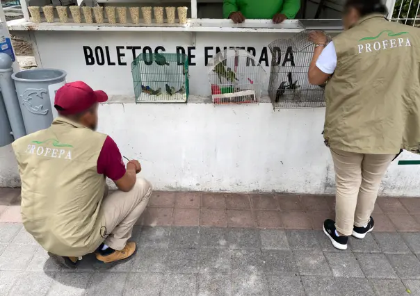 Profepa asegura 25 animales silvestres en La Piedad, Michoacán
