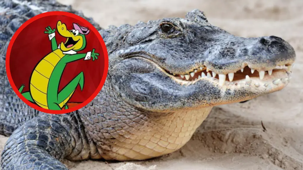 Por esta razon se les dice Juanchos a los cocodrilos de Tampico