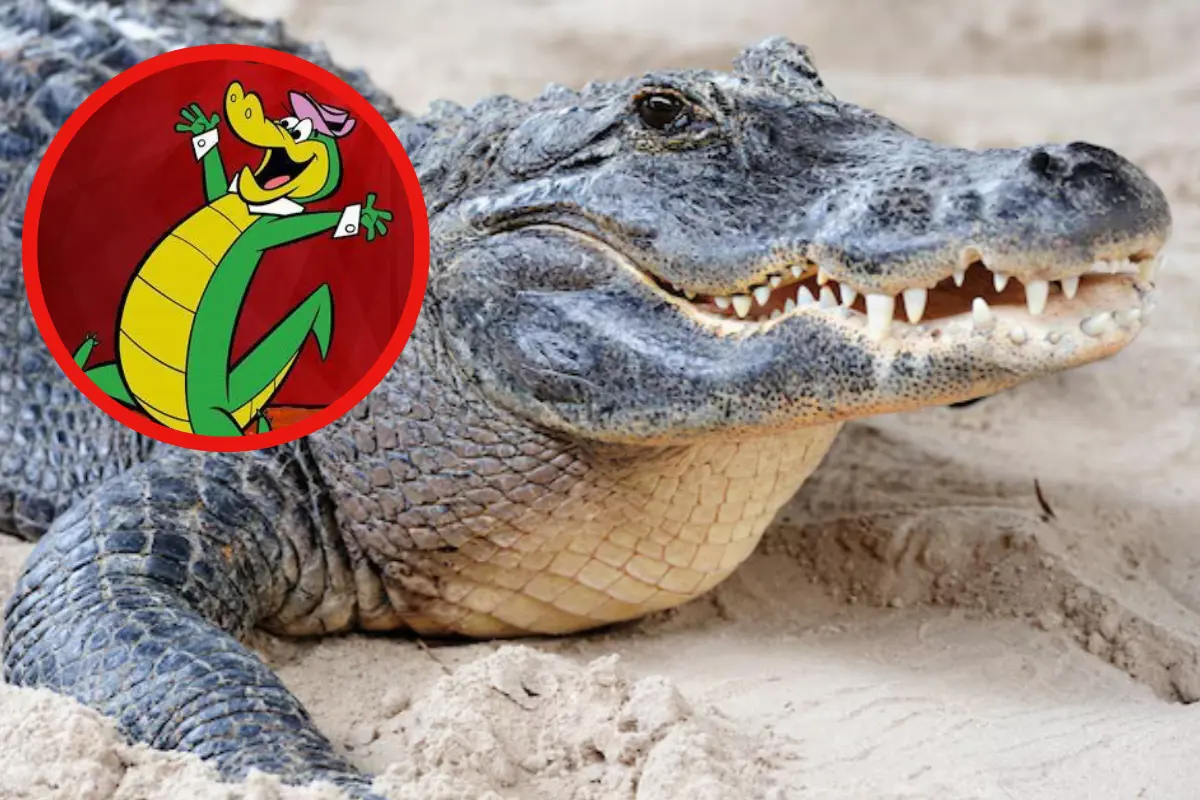 El apodo de Juancho a los cocodrilos de Tampico viene desde generaciones atrásFREEPIK