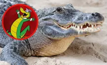 Por esta razon se les dice Juanchos a los cocodrilos de Tampico