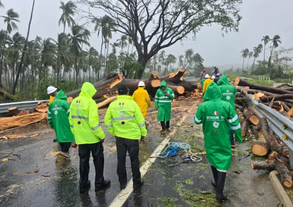 Tormentas tropicales Flossie y Barry provocarán lluvias torrenciales, advierte Conagua