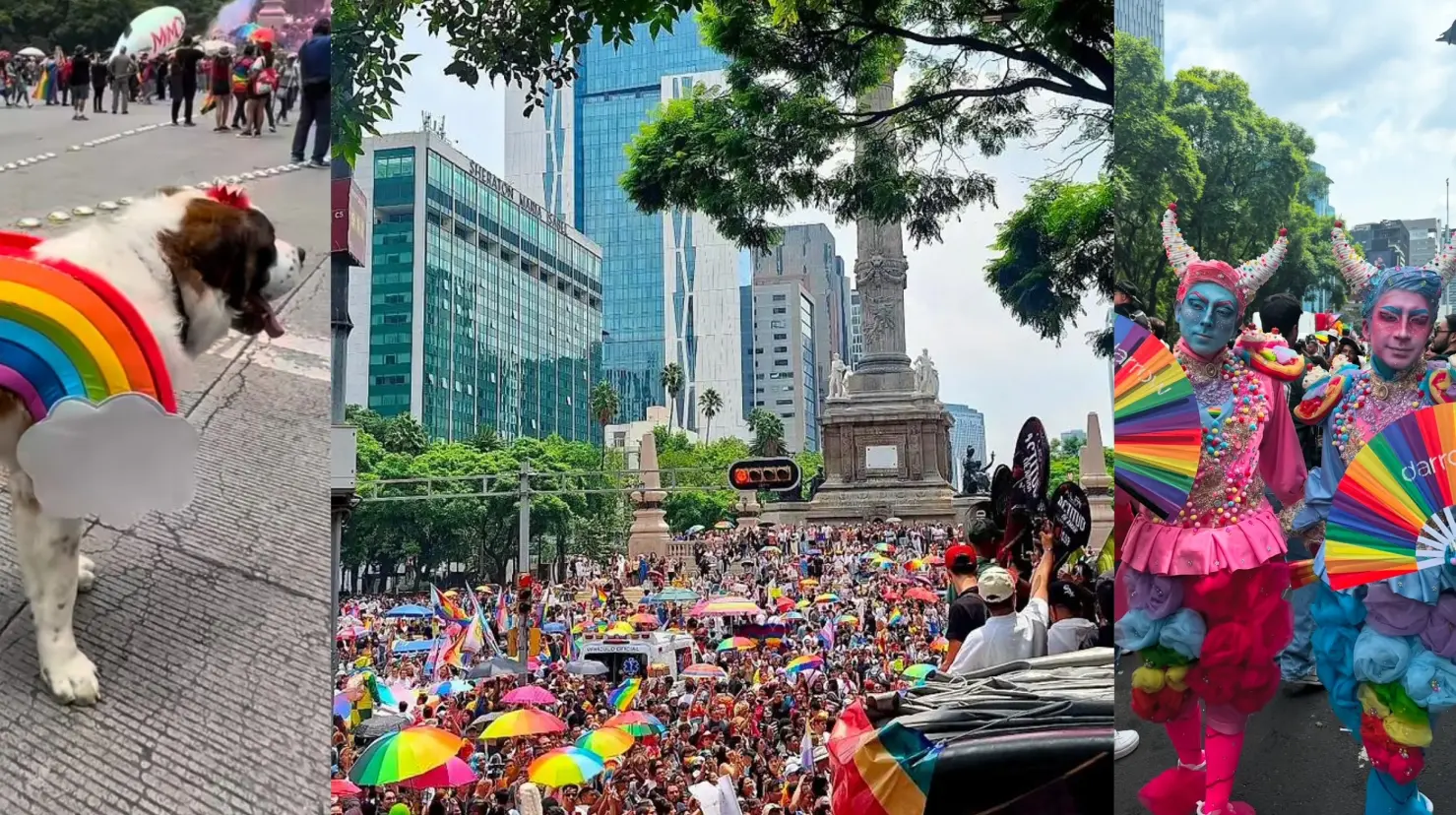 Con música, cuerpos libres y banderas ondeando, la 47ª edición de la Marcha del Orgullo Lgbtttiq+ llenó las calles de la Ciudad de México. Fotos: Otto Rojas
