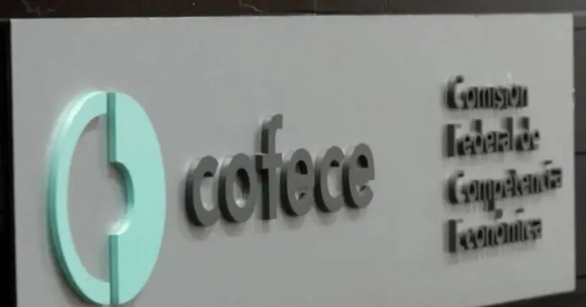 Foto: Cofece