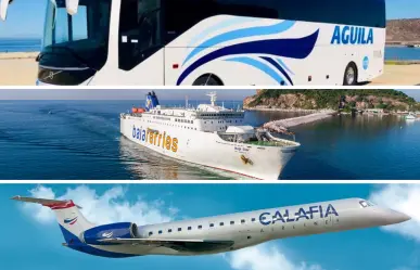 3 empresas de transporte que nacieron en BCS y quizá no conocías