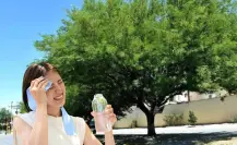 Aumenta el calor en BCS y este árbol nativo ayuda a combatirlo, ¿lo conoces?