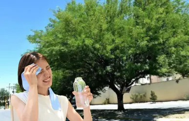 Aumenta el calor en BCS y este árbol nativo ayuda a combatirlo, ¿lo conoces?