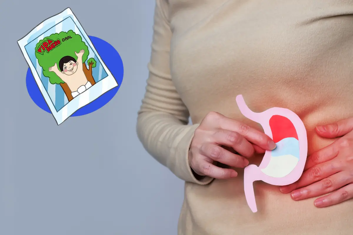 Las temperaturas extremas aceleran la descomposición de los alimentos, lo que facilita la proliferación de bacterias, virus y parásitos. /Foto: Gob MX/ Canva
