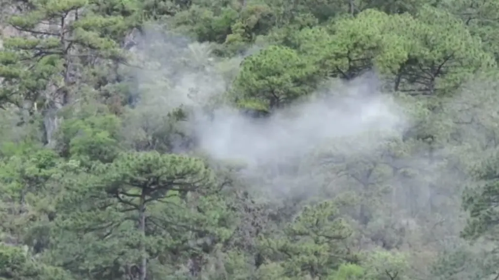 Activan brigadas por incendio forestal en el Cerro del Chupón