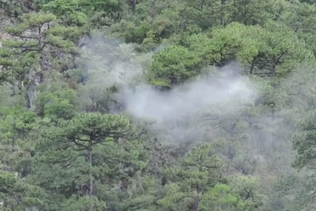 Incendio Forestal: Protección Civil de Monterrey