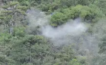 Activan brigadas por incendio forestal en el Cerro del Chupón