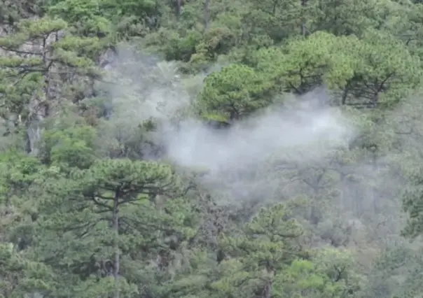 Activan brigadas por incendio forestal en el Cerro del Chupón