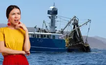 Barcos pesqueros industriales no infringen la ley al capturar en costas de BCS