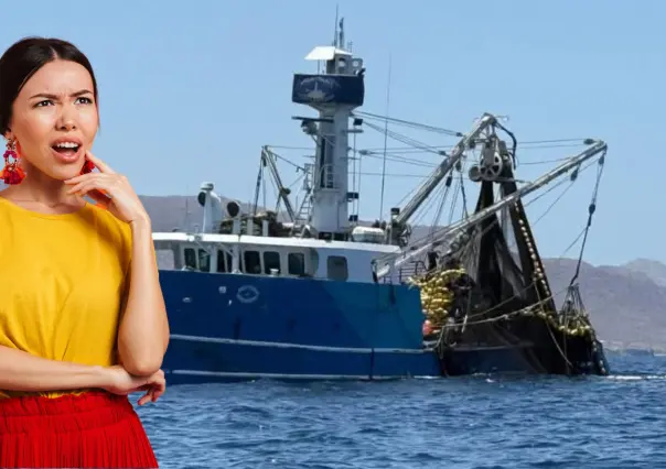 Barcos pesqueros industriales no infringen la ley al capturar en costas de BCS