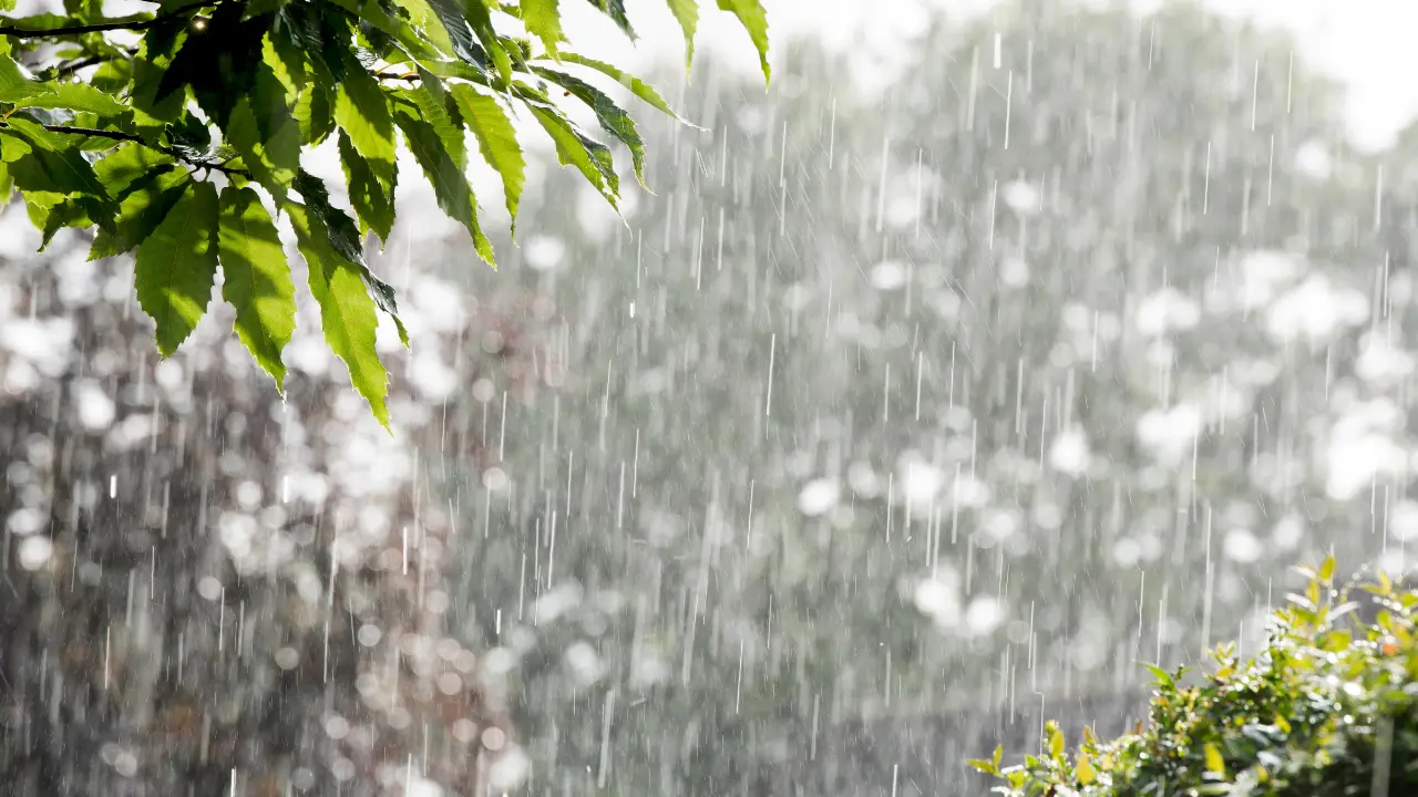 Julio arranca con lluvias en el Edomex; autoridades piden a la población tomar precauciones y no tirar basura en la vía pública para evitar inundaciones. Foto: Canva